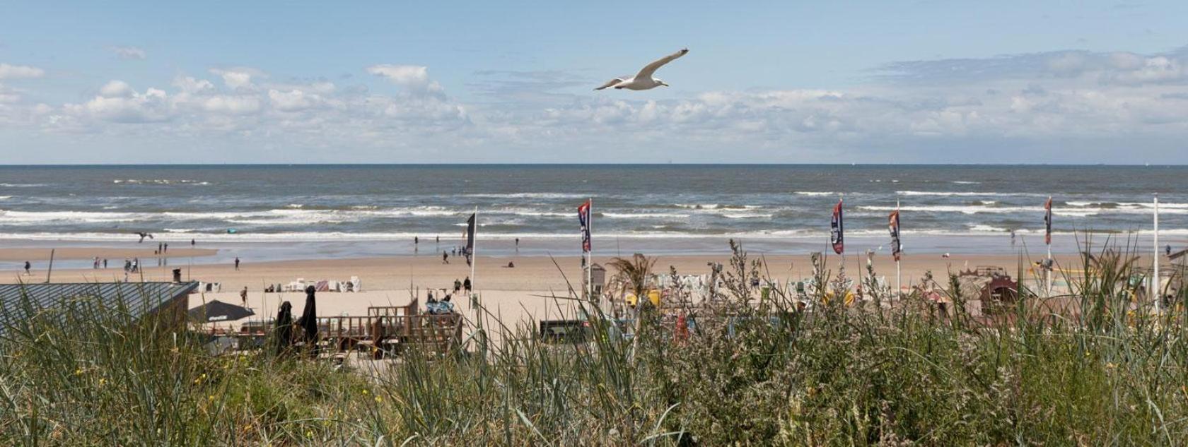 Beach&Dunes Apartment Zandvoort Kültér fotó